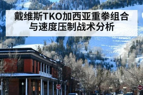戴维斯TKO加西亚重拳组合与速度压制战术分析